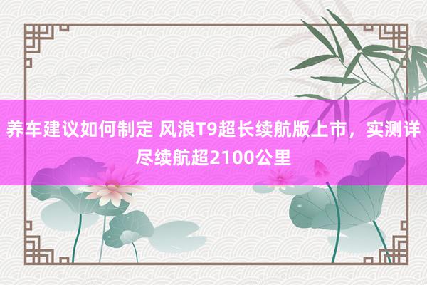 养车建议如何制定 风浪T9超长续航版上市，实测详尽续航超2100公里