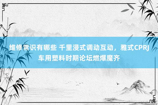 维修常识有哪些 千里浸式调动互动，雅式CPRJ车用塑料时期论坛燃爆魔齐