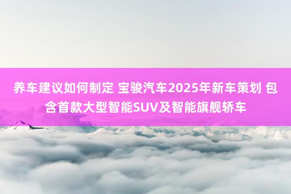 养车建议如何制定 宝骏汽车2025年新车策划 包含首款大型智能SUV及智能旗舰轿车