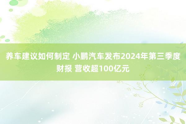 养车建议如何制定 小鹏汽车发布2024年第三季度财报 营收超100亿元