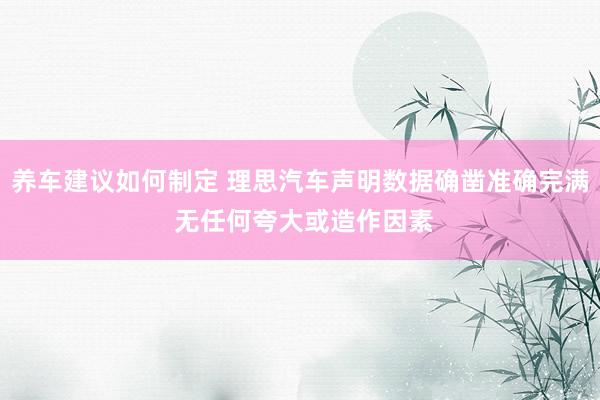 养车建议如何制定 理思汽车声明数据确凿准确完满 无任何夸大或造作因素