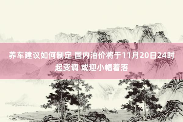 养车建议如何制定 国内油价将于11月20日24时起变调 或迎小幅着落