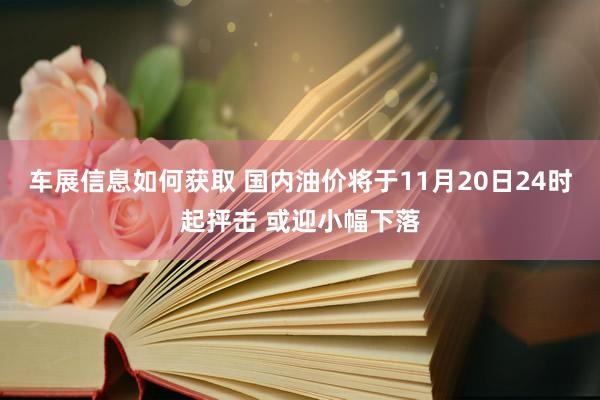 车展信息如何获取 国内油价将于11月20日24时起抨击 或迎小幅下落