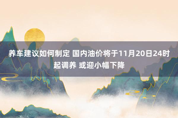 养车建议如何制定 国内油价将于11月20日24时起调养 或迎小幅下降