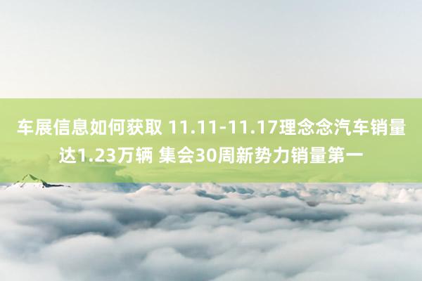 车展信息如何获取 11.11-11.17理念念汽车销量达1.23万辆 集会30周新势力销量第一