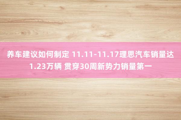 养车建议如何制定 11.11-11.17理思汽车销量达1.23万辆 贯穿30周新势力销量第一