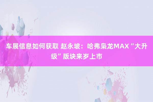 车展信息如何获取 赵永坡：哈弗枭龙MAX“大升级”版块来岁上市