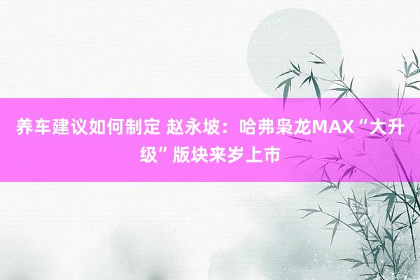 养车建议如何制定 赵永坡：哈弗枭龙MAX“大升级”版块来岁上市