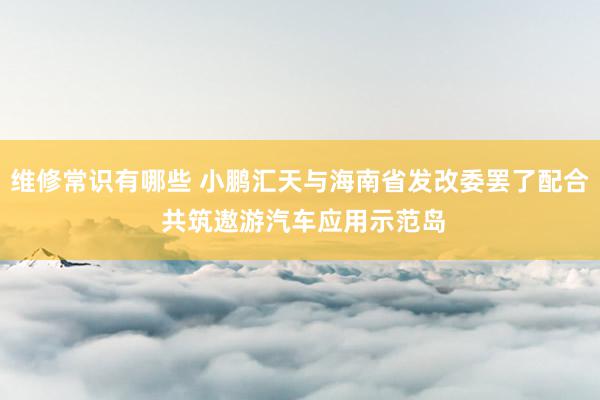 维修常识有哪些 小鹏汇天与海南省发改委罢了配合 共筑遨游汽车应用示范岛