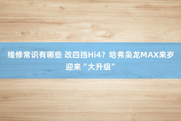 维修常识有哪些 改四挡Hi4？哈弗枭龙MAX来岁迎来“大升级”