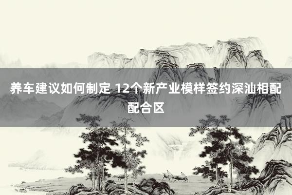 养车建议如何制定 12个新产业模样签约深汕相配配合区