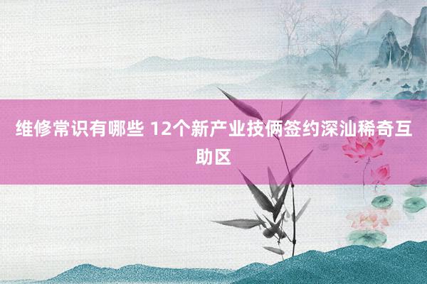 维修常识有哪些 12个新产业技俩签约深汕稀奇互助区