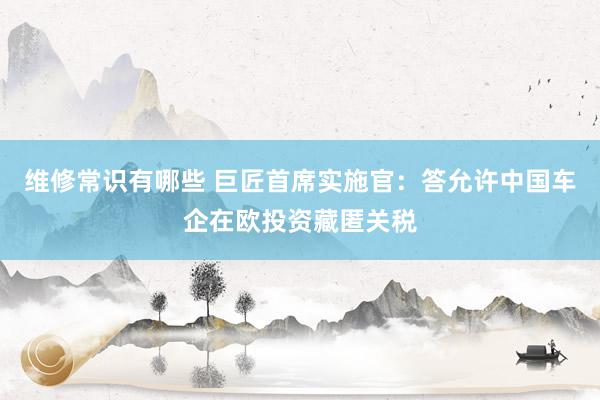 维修常识有哪些 巨匠首席实施官：答允许中国车企在欧投资藏匿关税