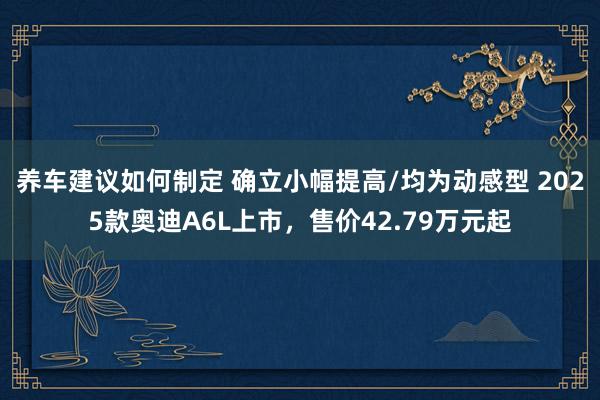 养车建议如何制定 确立小幅提高/均为动感型 2025款奥迪A6L上市，售价42.79万元起