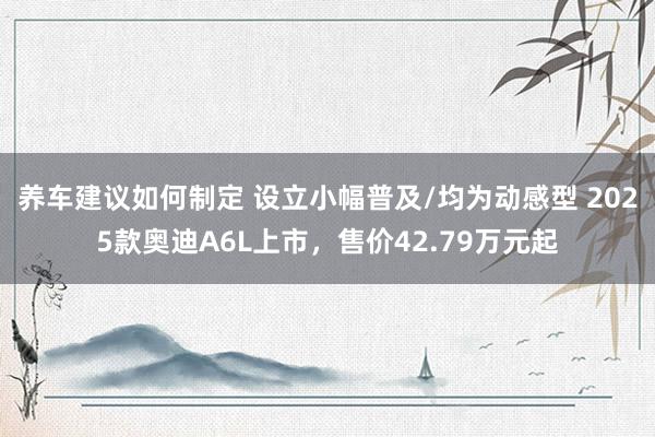 养车建议如何制定 设立小幅普及/均为动感型 2025款奥迪A6L上市，售价42.79万元起