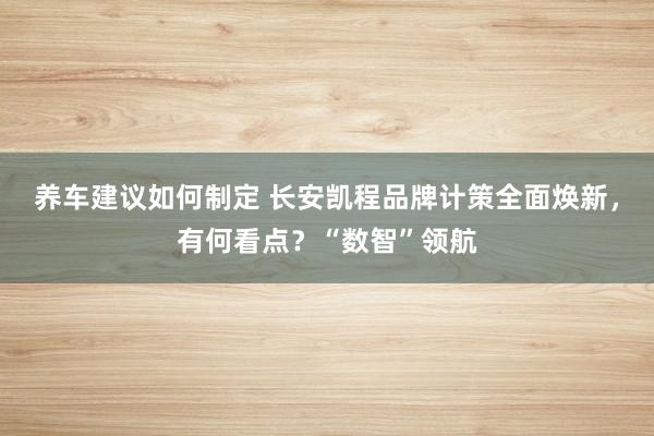 养车建议如何制定 长安凯程品牌计策全面焕新，有何看点？“数智”领航