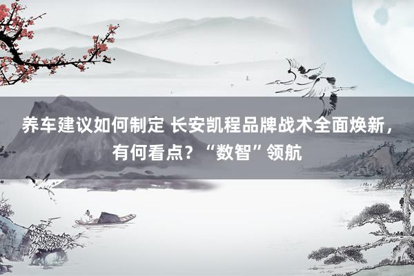 养车建议如何制定 长安凯程品牌战术全面焕新，有何看点？“数智”领航