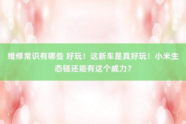 维修常识有哪些 好玩！这新车是真好玩！小米生态链还能有这个威力？