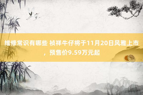 维修常识有哪些 祯祥牛仔将于11月20日风雅上市，预售价9.59万元起