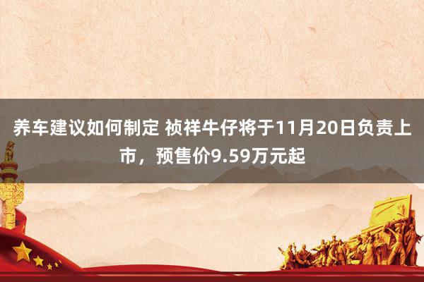 养车建议如何制定 祯祥牛仔将于11月20日负责上市，预售价9.59万元起